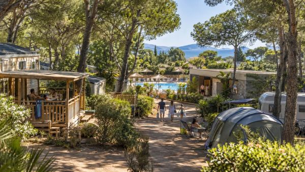 Ce que révèlent vraiment les avis sur le camping Les Palmiers à Hyères