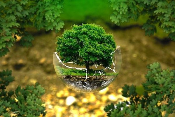 Qu'est-ce que l'écologie et pourquoi est-ce important pour l'humanité ?