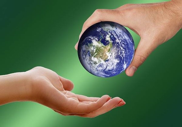 D'où vient le mot écologie?